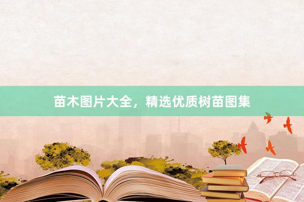 苗木图片大全，精选优质树苗图集