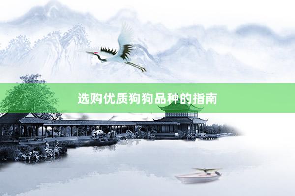 选购优质狗狗品种的指南